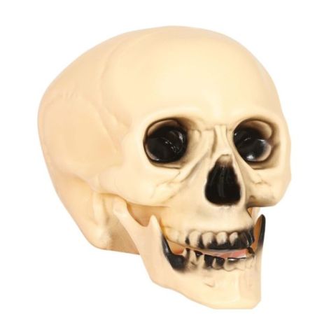 Cap schelet 20 cm - imagine 11